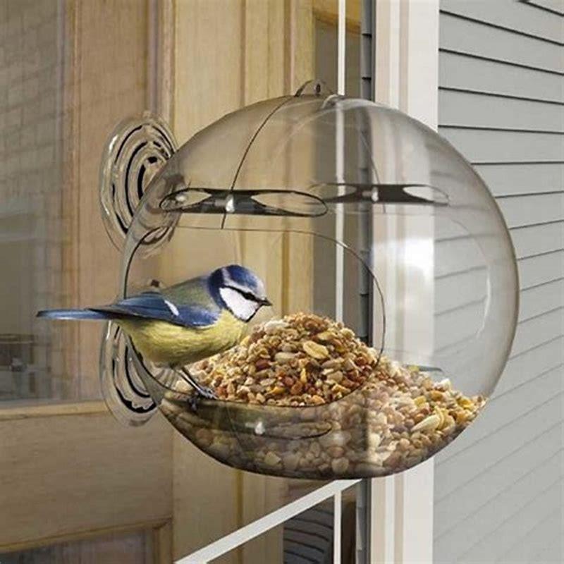 What birds will eat from window feeder?