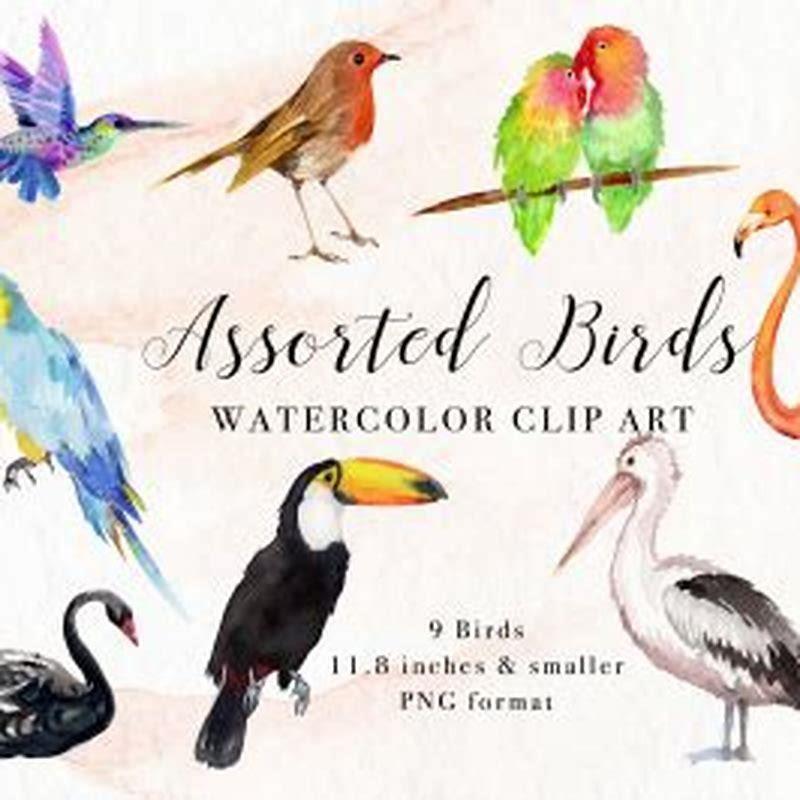 What category do birds come under?