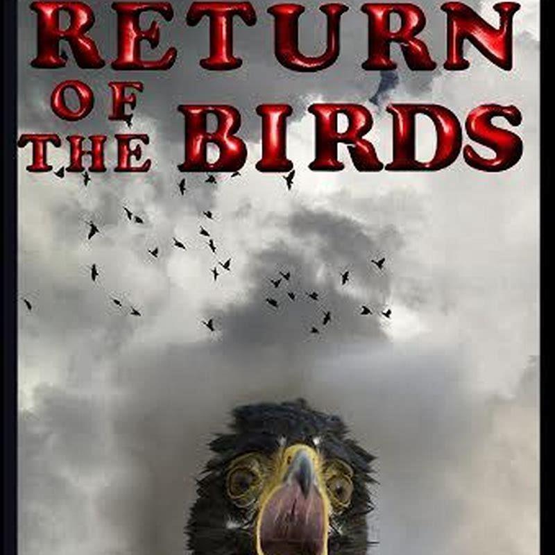What caused The Birds to go crazy in The Birds?