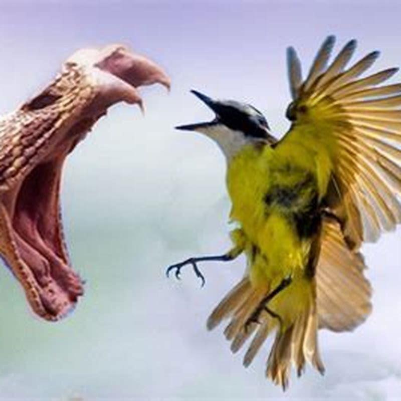 What do the birds represent in the birds?