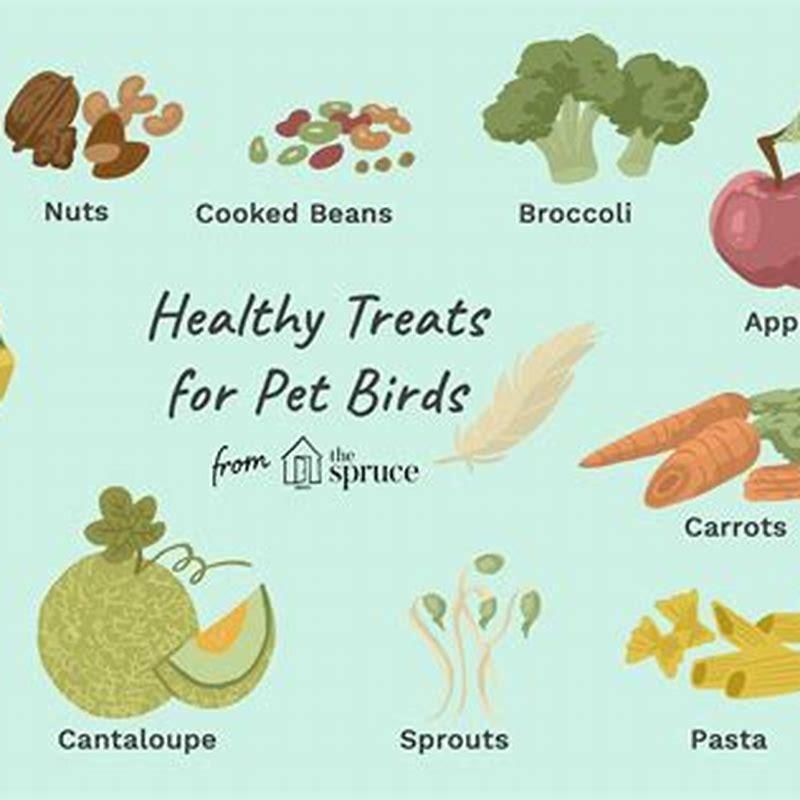 What fruit and veg can birds eat?
