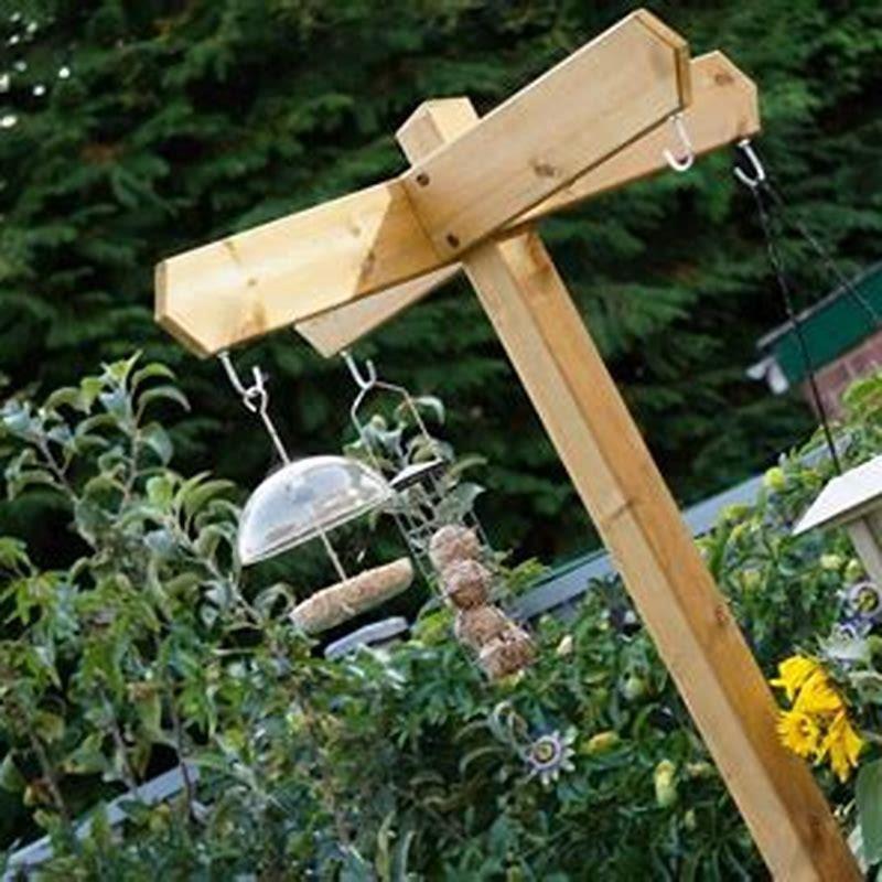 what-household-food-can-you-feed-birds-diy-seattle