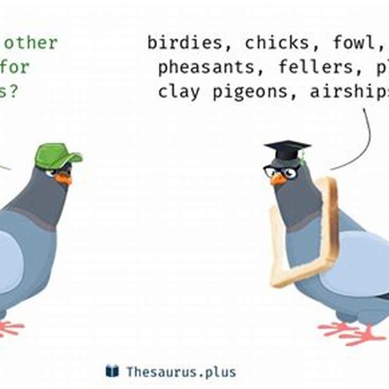 Bird In A Sentence Meaning