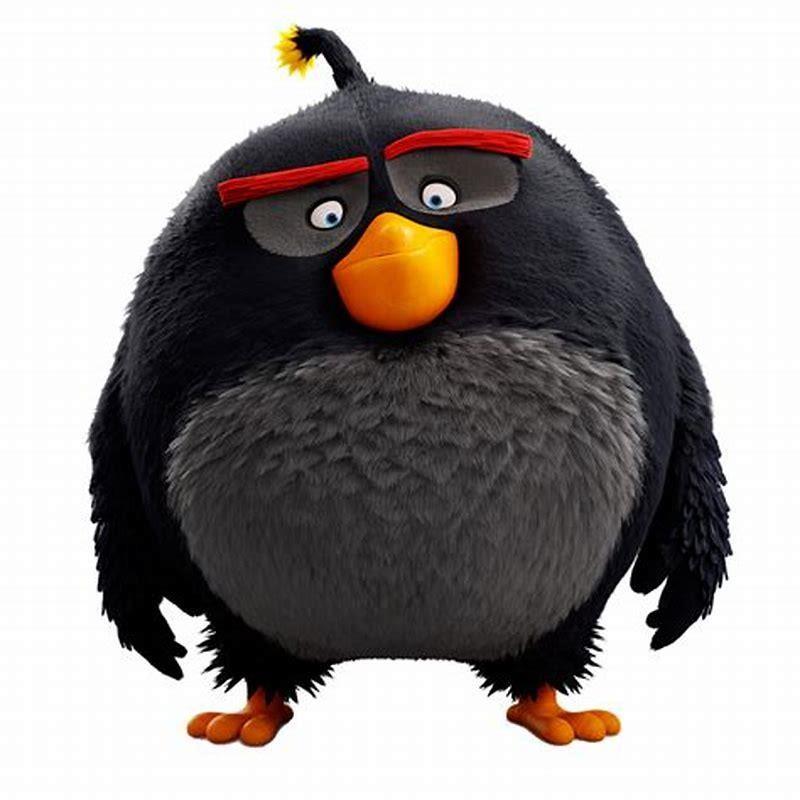 What kind of bird is bubbles from Angry Birds?