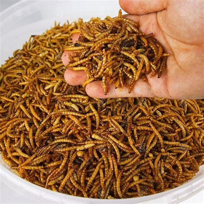 What UK birds eat dried mealworms?