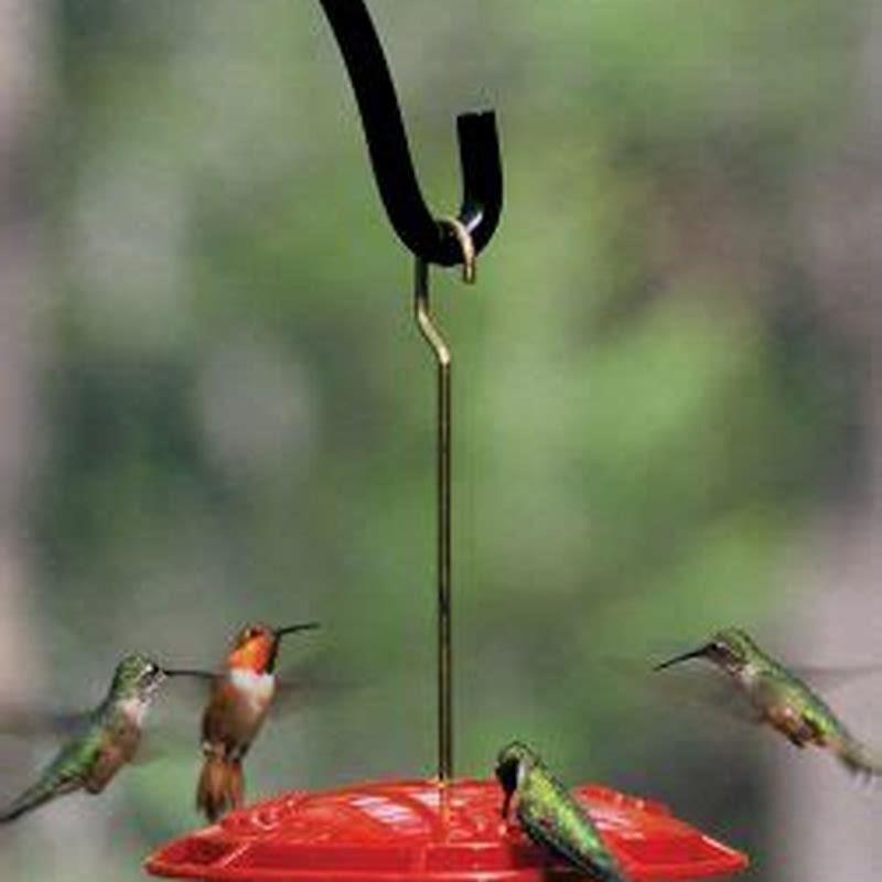 When should you take down hummingbird feeders in Ohio?