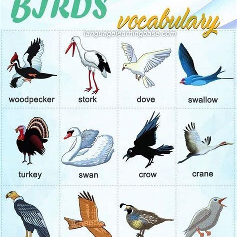 which-bird-has-the-most-vocabulary-diy-seattle