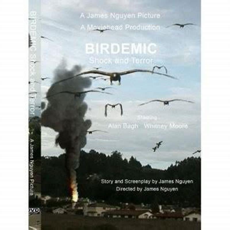 Why did birds attack in the movie the birds?
