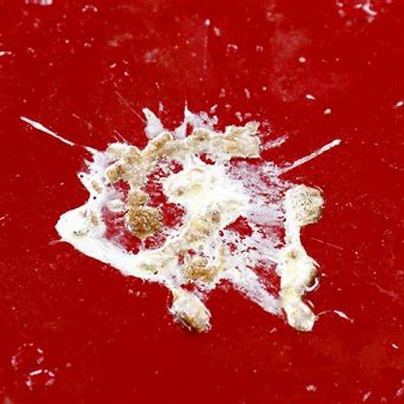 Why do birds poop blood?
