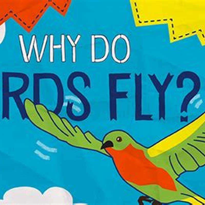 Why do the birds fly away answer? - DIY Seattle