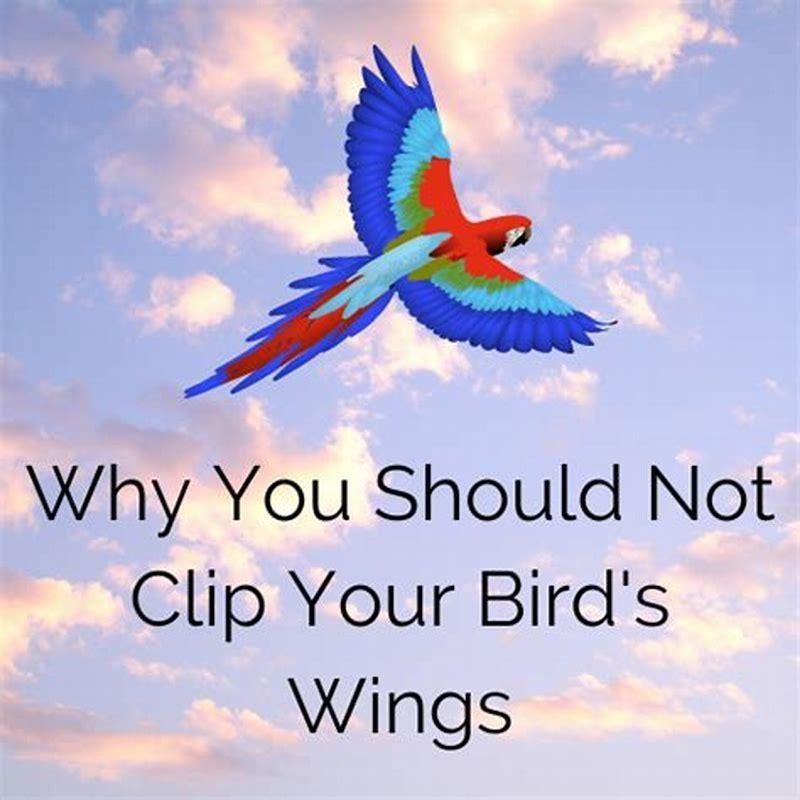 Why should you not clip a bird’s wings?