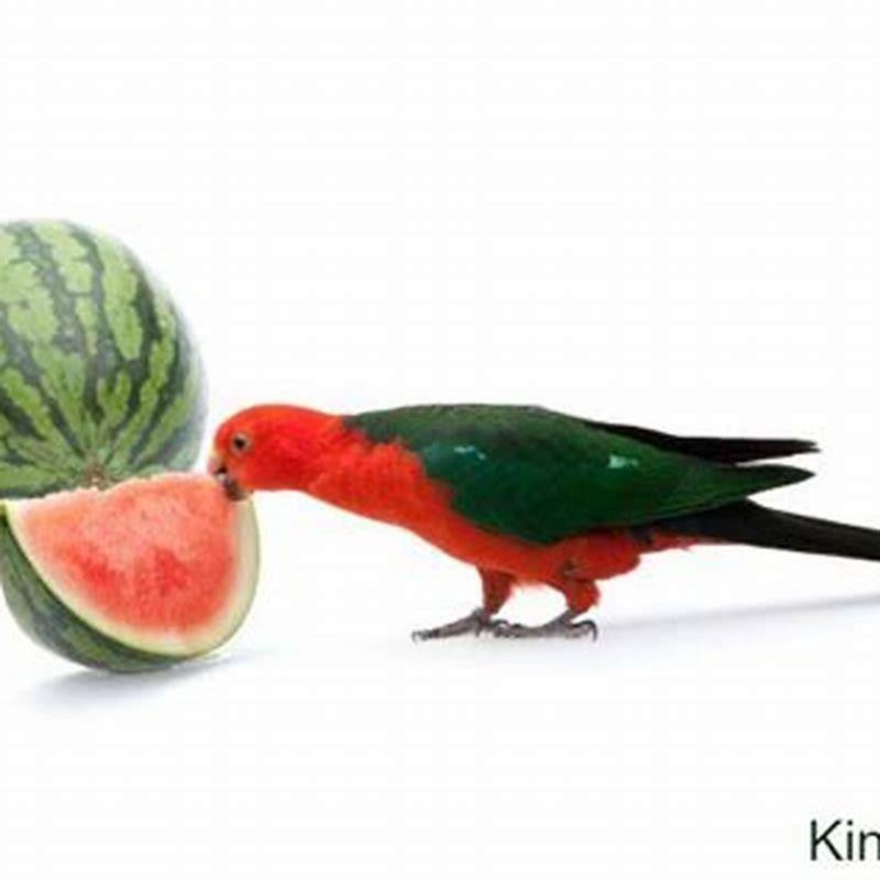 Are oranges OK for birds?