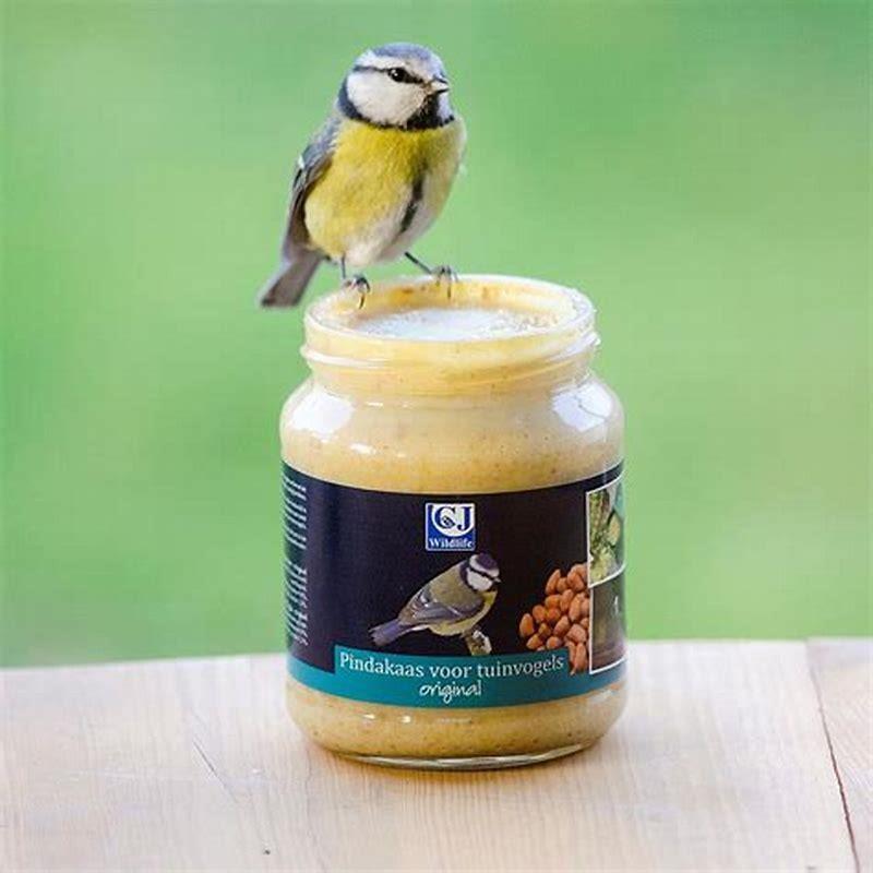 Can you give wild birds peanut butter?