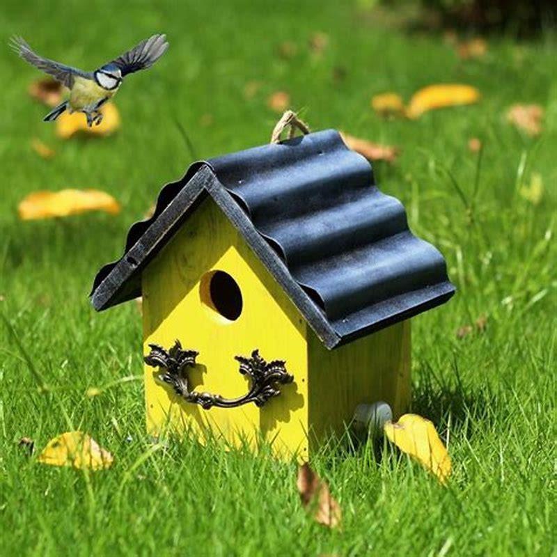 do-birds-like-certain-color-bird-houses-diy-seattle