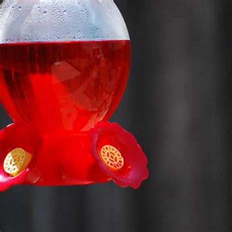 Do birds poop at same time?