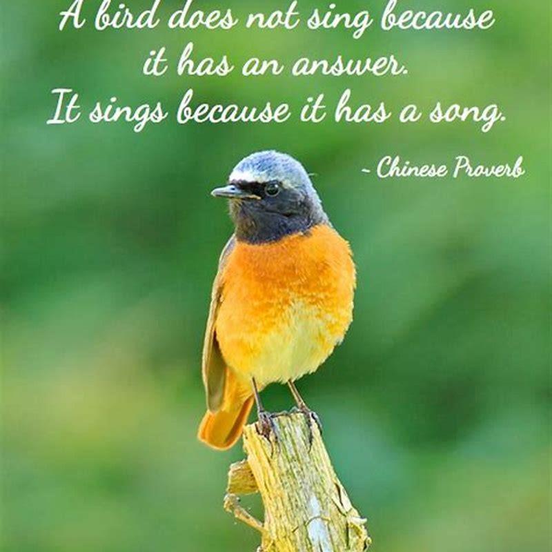Do birds sing because they are happy?