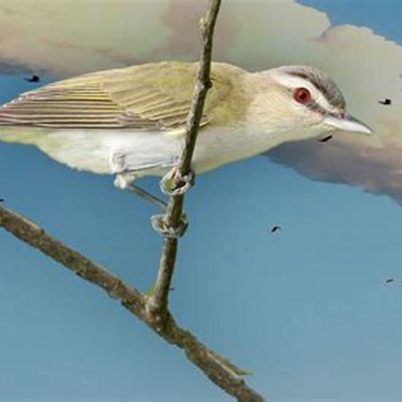 Do we need birds to live?