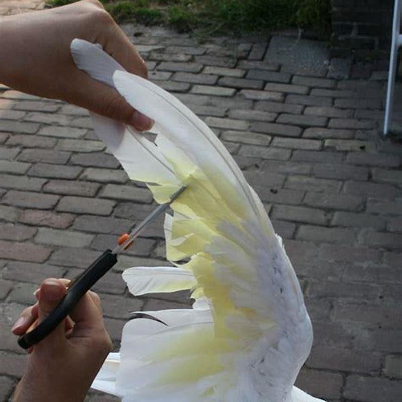 Does it hurt a bird to clip its wings?