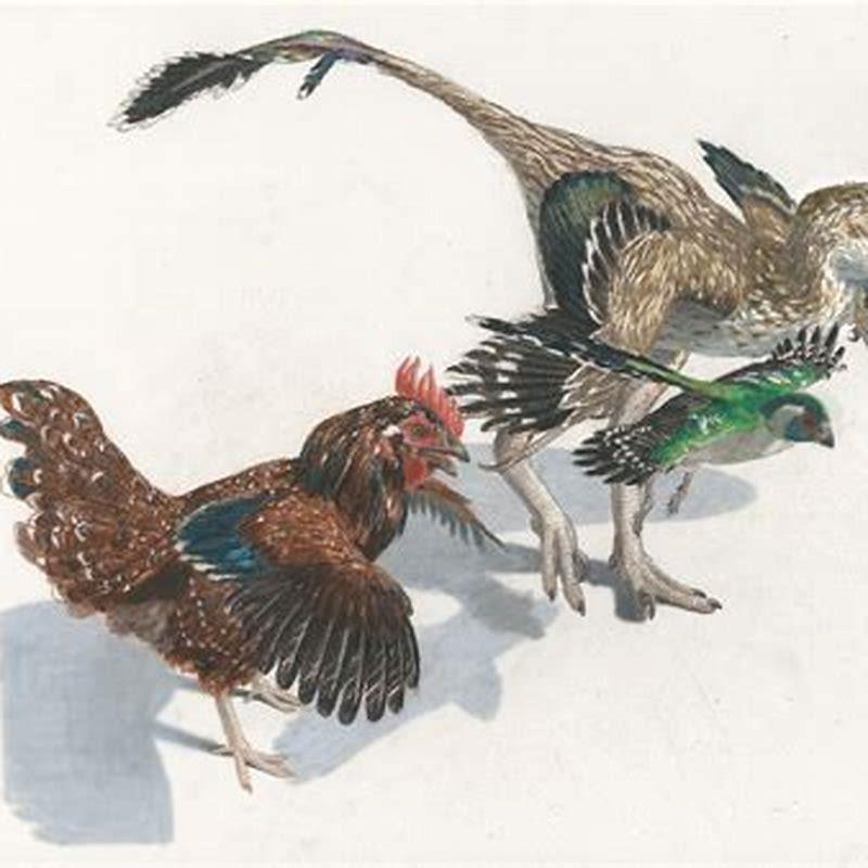 How are dinosaurs and birds related?