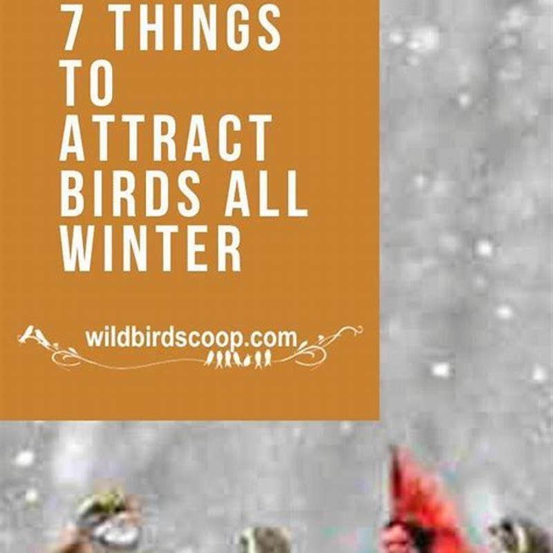 How do I attract birds to my garden in the winter?