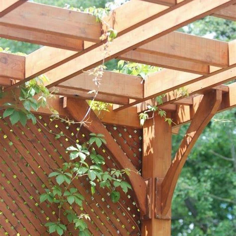 How do I keep birds away from my pergola?