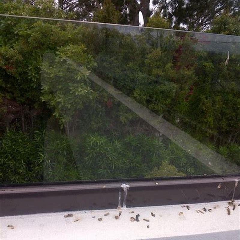 How do I keep birds off my balcony railing?