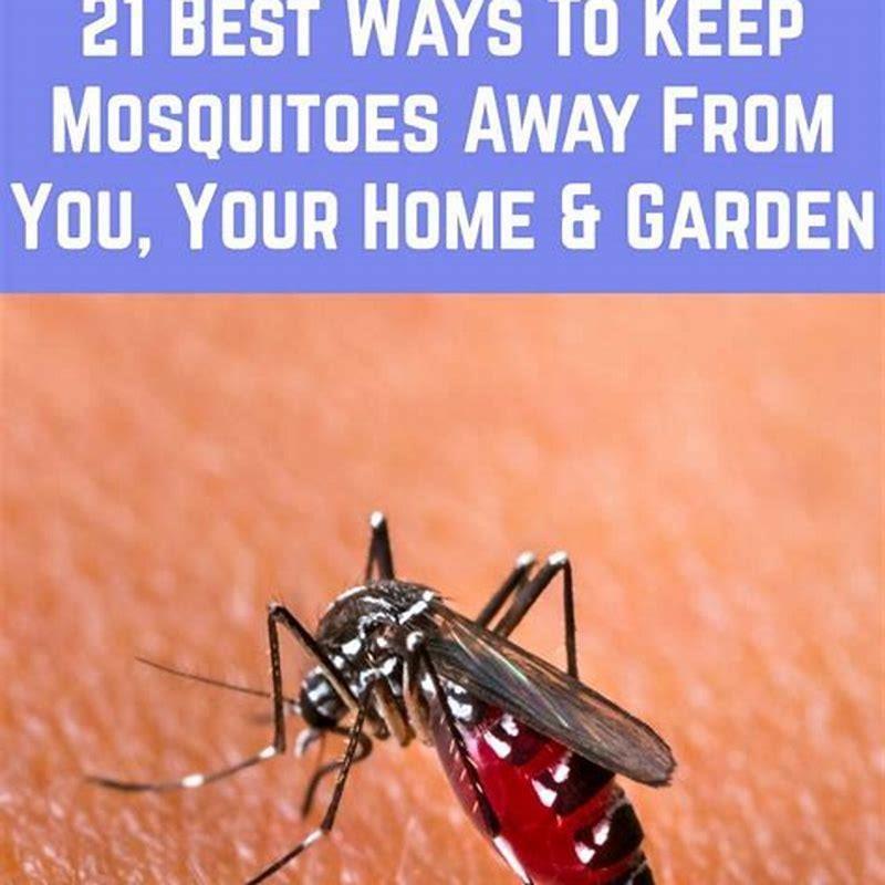 how-do-you-keep-mosquitoes-away-from-birds-diy-seattle