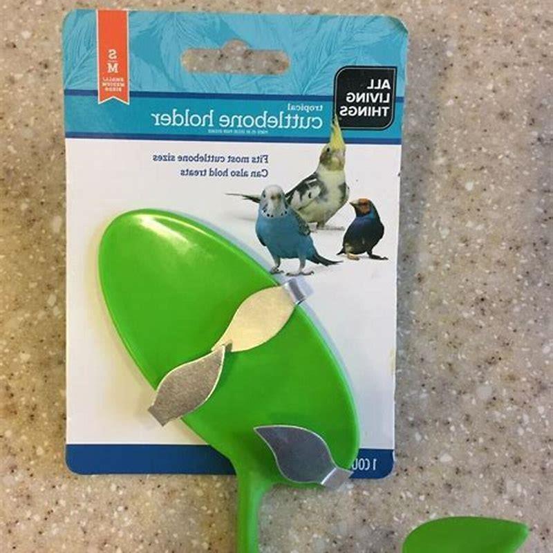 How do you make a cuttlebone holder?