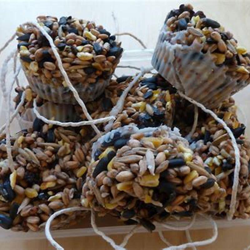 How do you make homemade bird food?