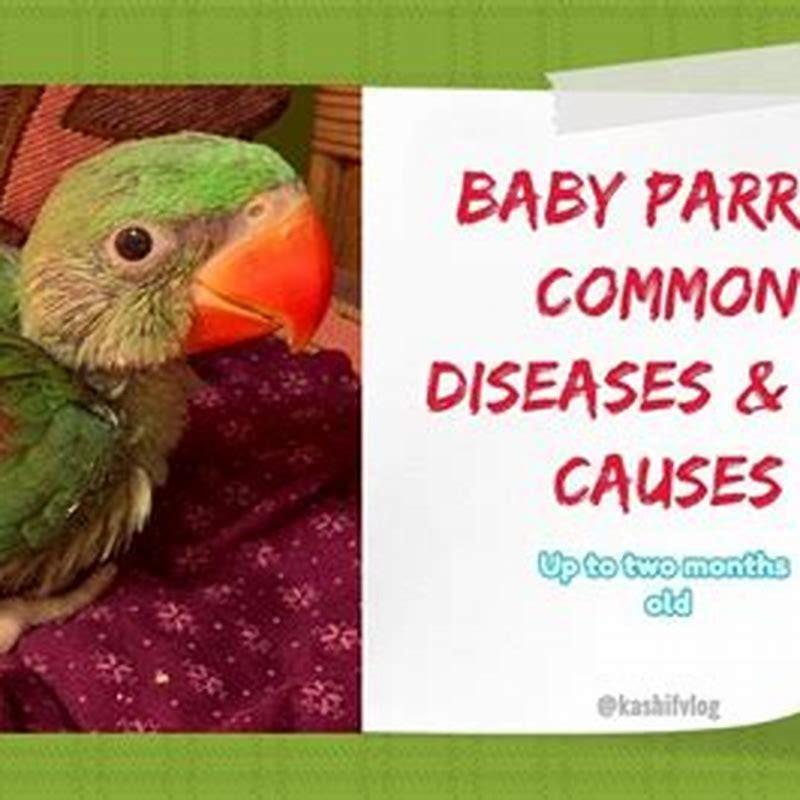 How do you prevent polyomavirus in birds?