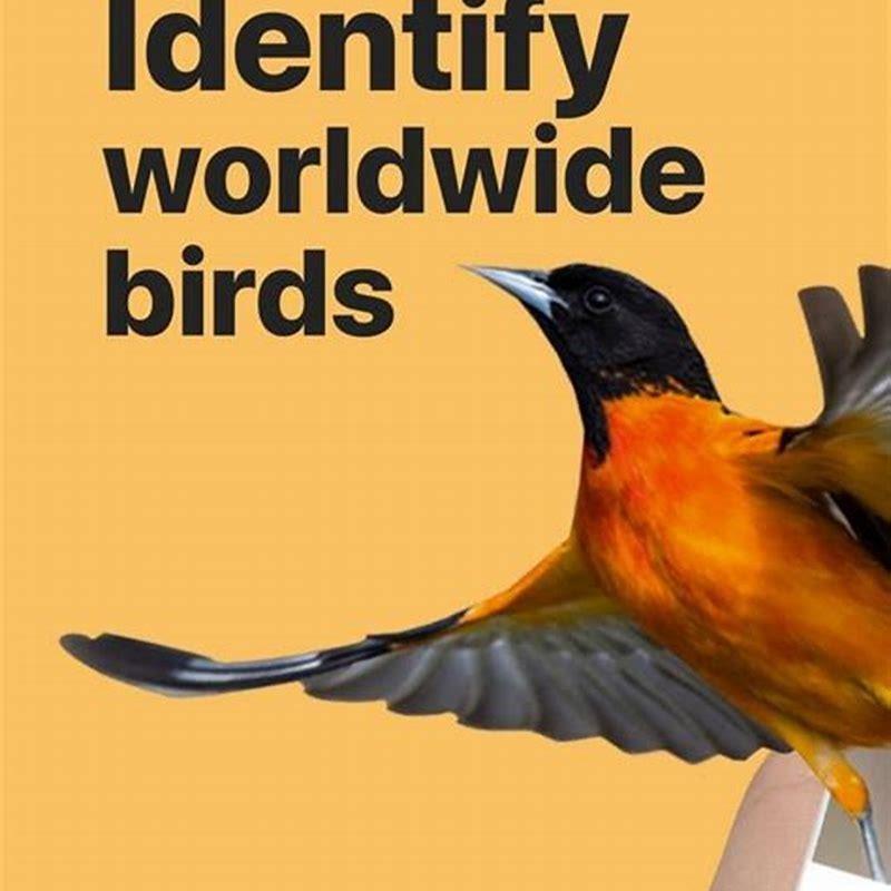 Is there an app for identifying birds?