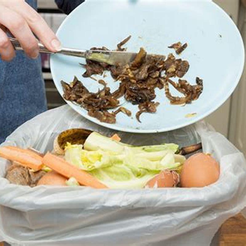 What can I feed birds out of my kitchen?