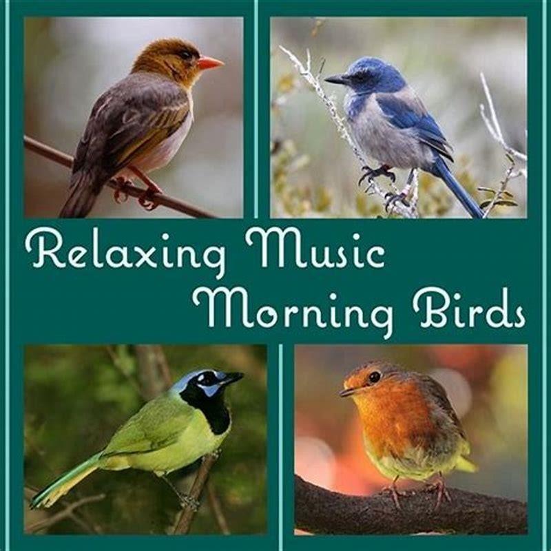 What Birds Do In The Morning