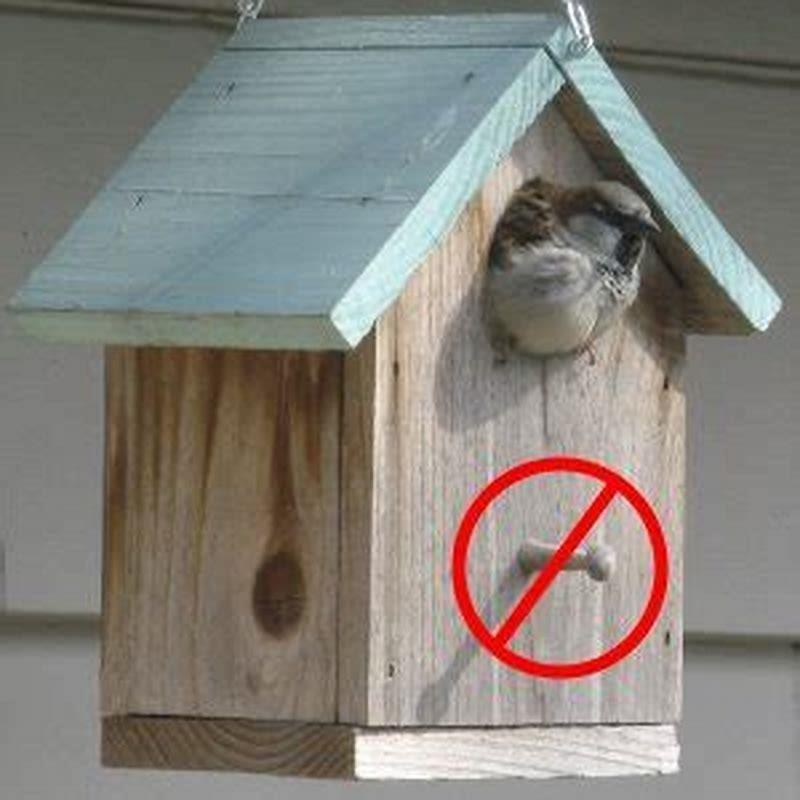 What do birds like in a birdhouse?