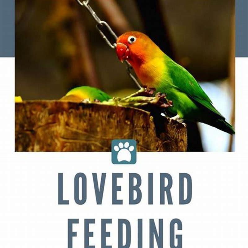 What do birds like to drink?