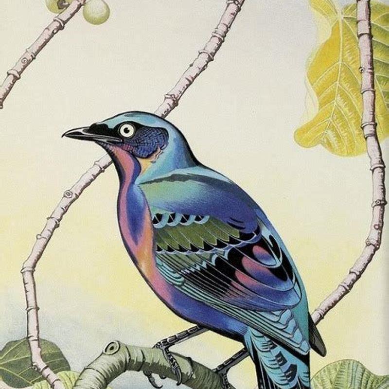What Does A Bird Symbolize In A Painting DIY Seattle