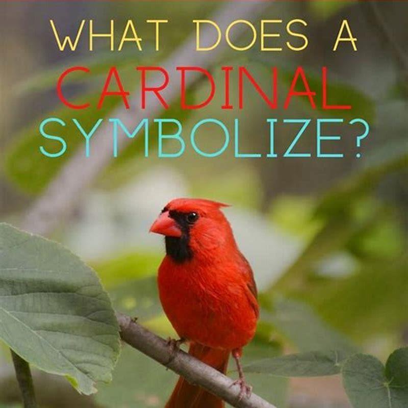 what-does-cardinal-mean-spiritually-diy-seattle