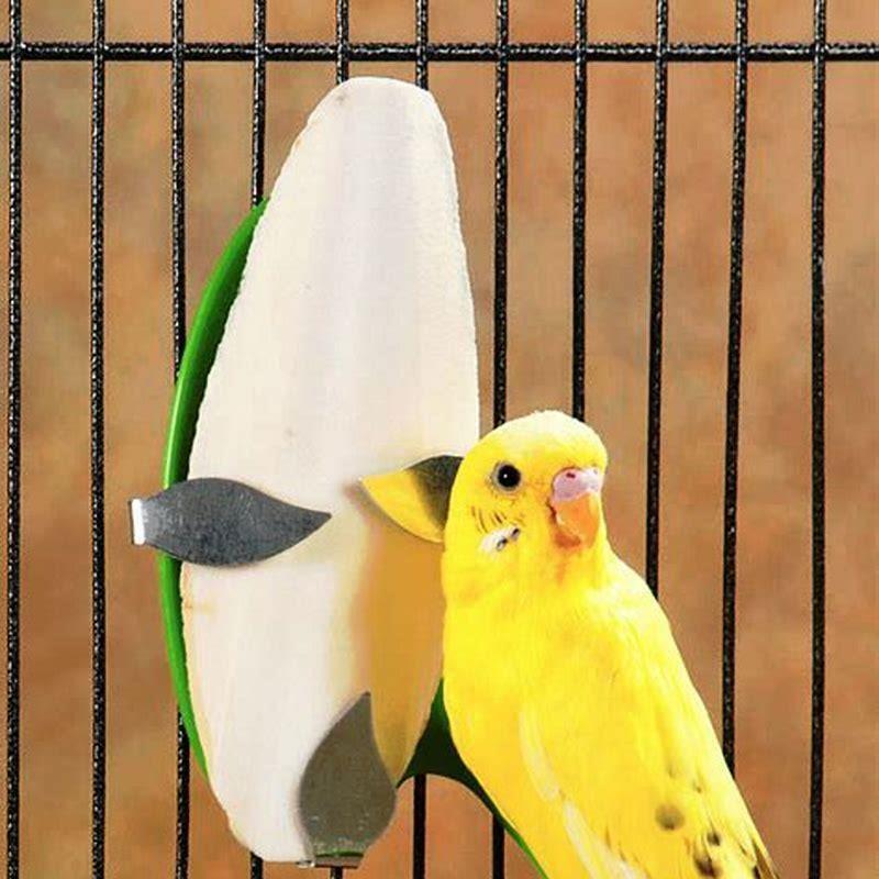 What does cuttlebone do for birds?