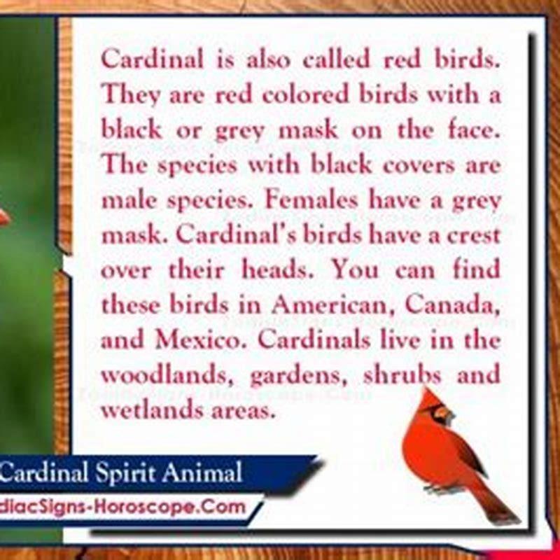 what-does-seeing-a-red-cardinal-mean-spiritually-diy-seattle