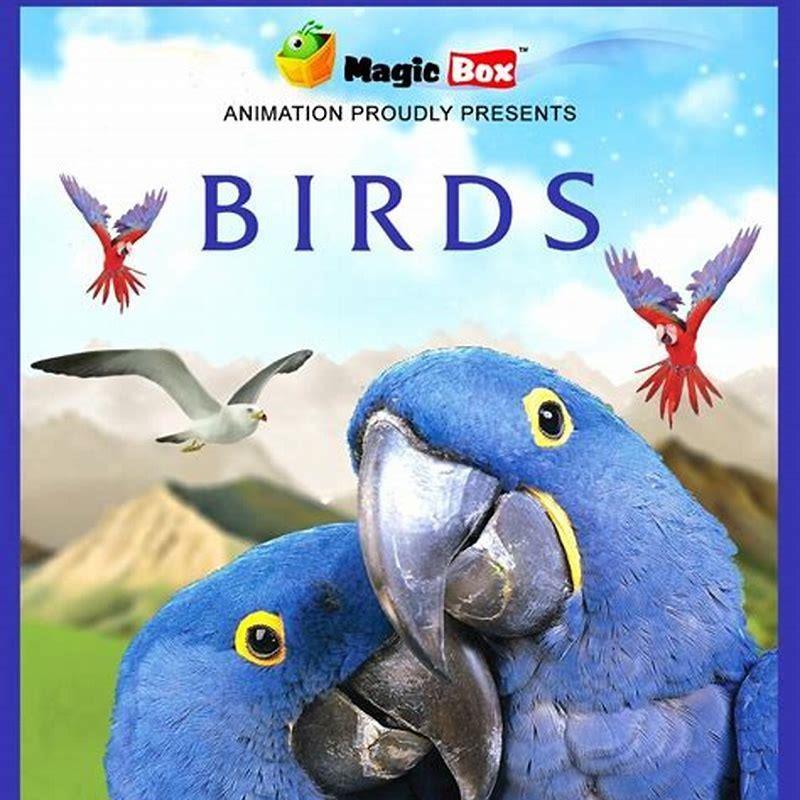 What has happened to all the birds?