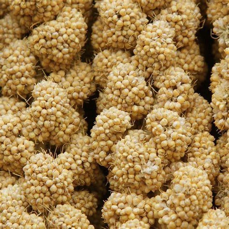 What is bird millet made of?