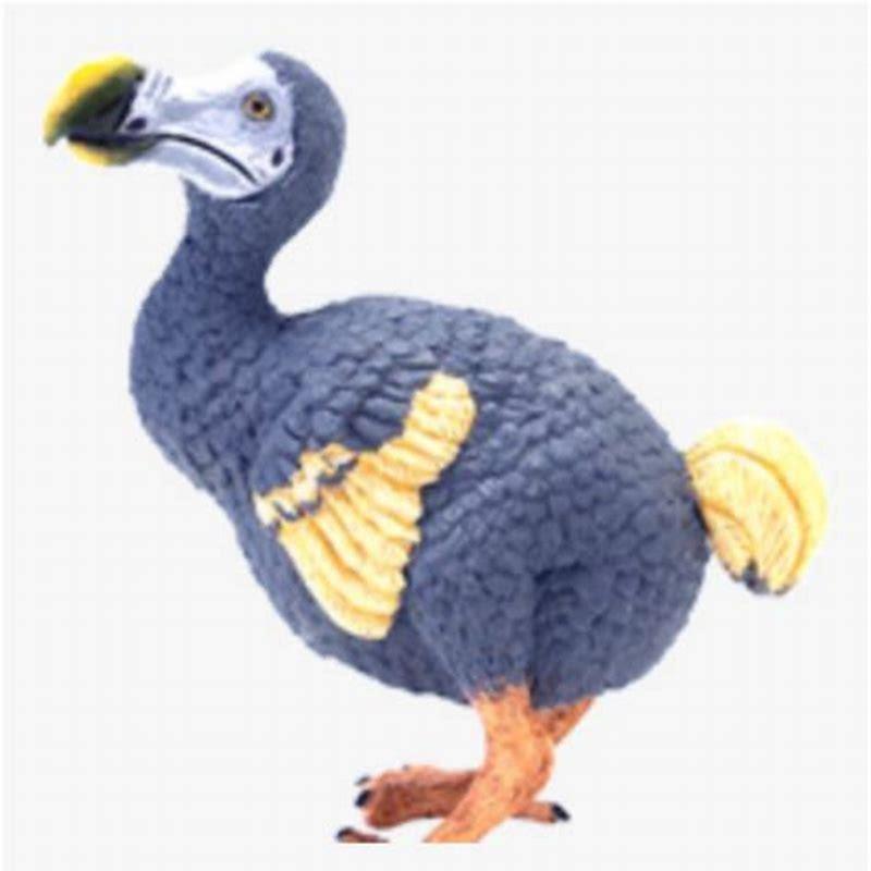 What is similar to a dodo bird?