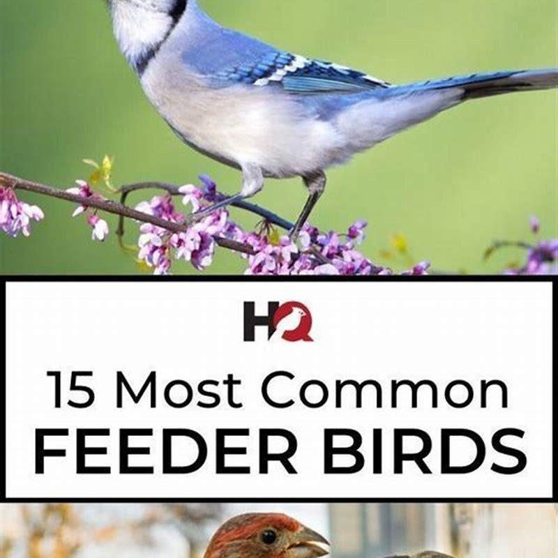 What time of day are birds least active?