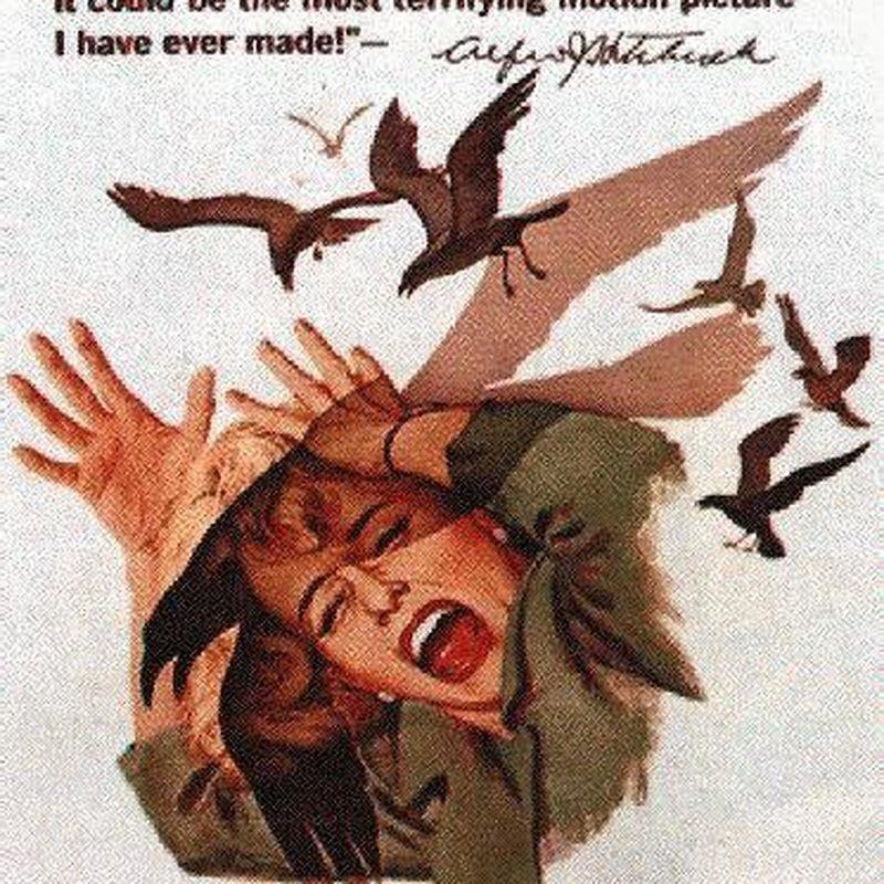 What were the birds in the movie the birds?