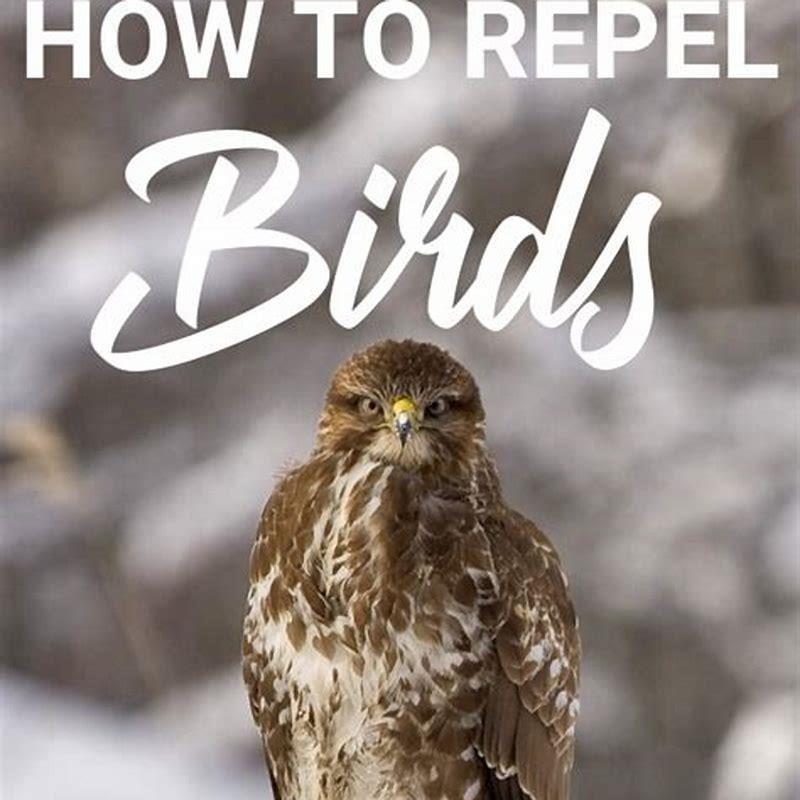 What will repel birds?