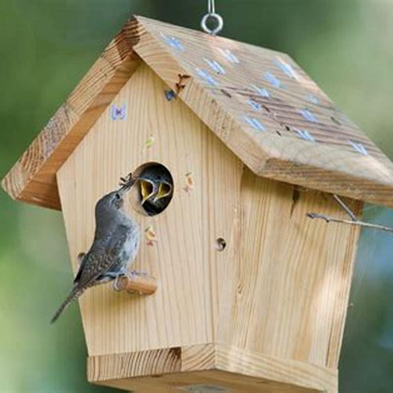 Where do birds shelter in high winds?