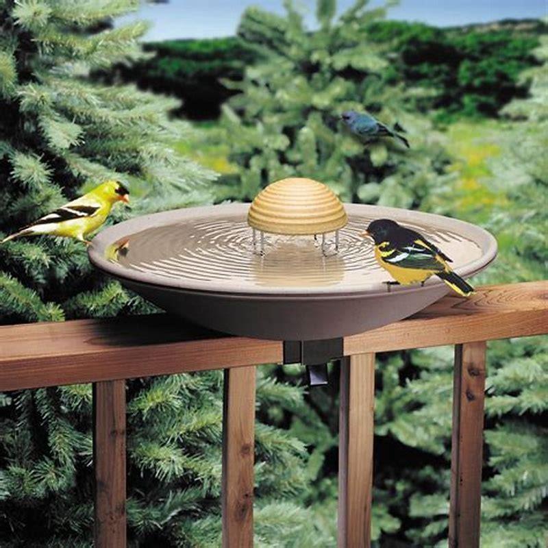 Where do you place a bird bath?
