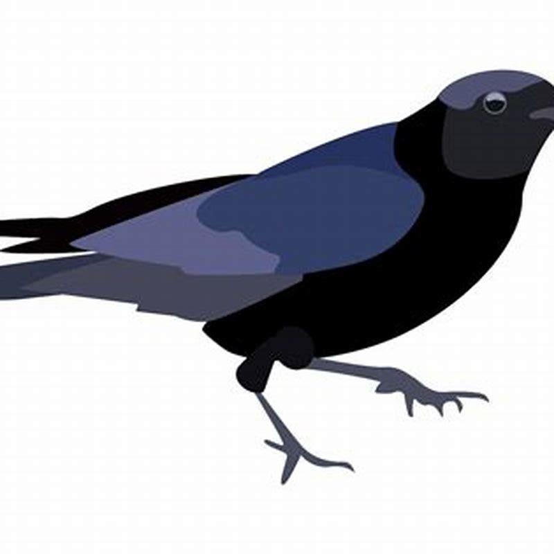 Which birds are the biggest jerks at the feeder a data analysis reveals the answer?