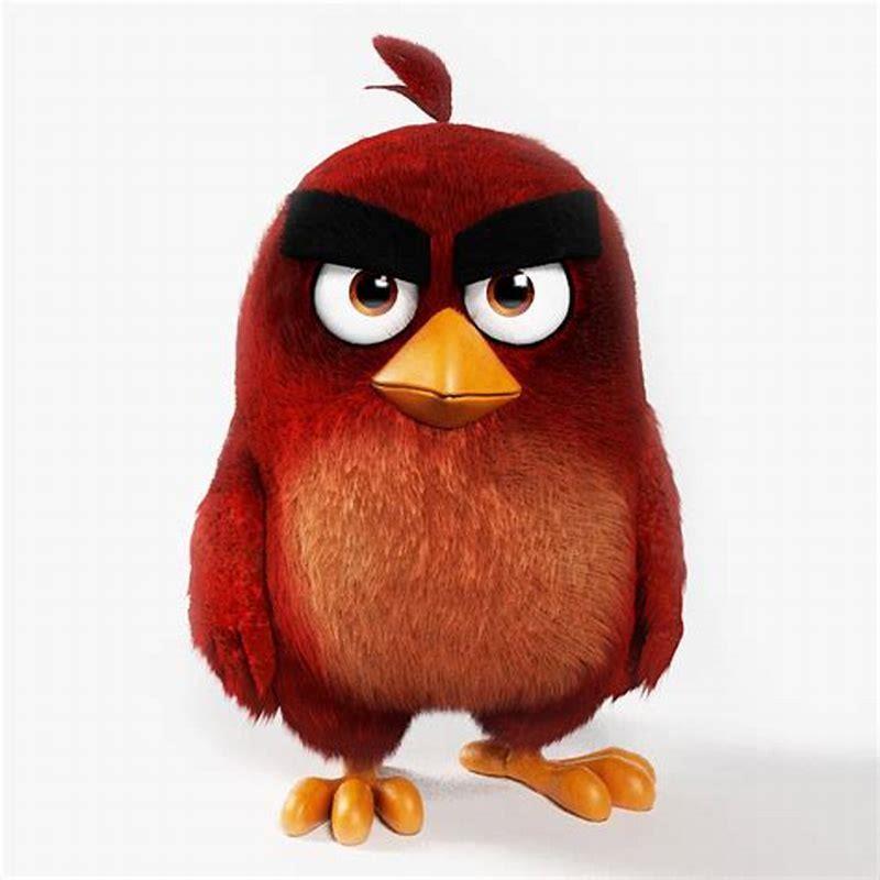Who is the Red angry bird?