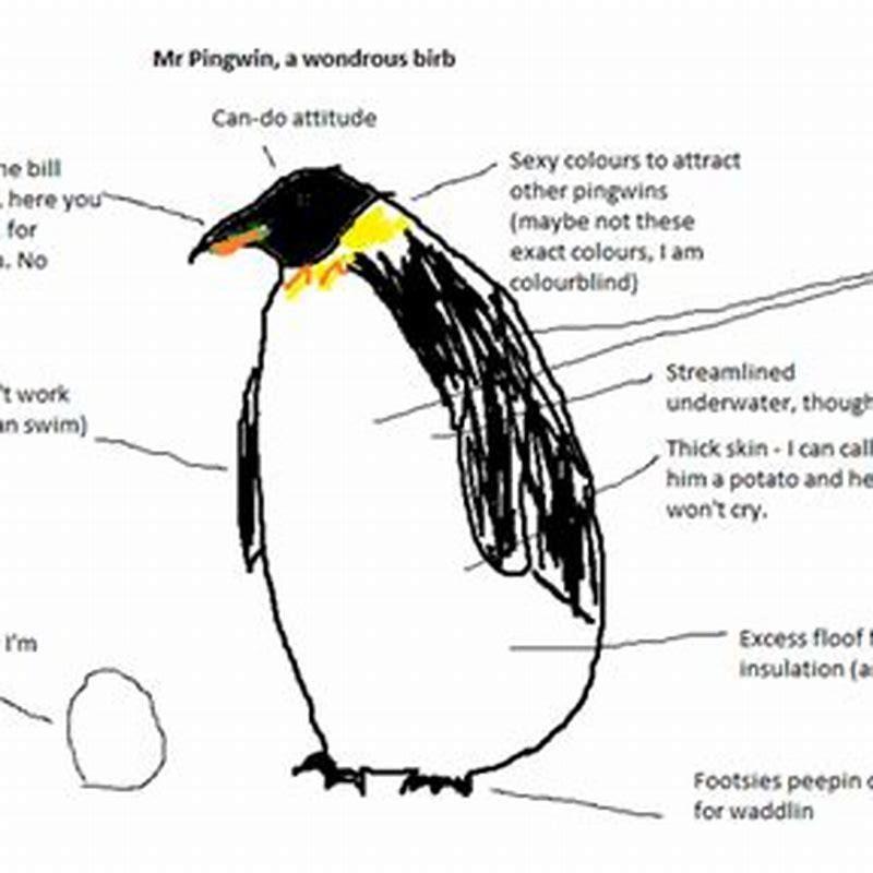 Why are penguins considered birds if they can't fly? - DIY Seattle